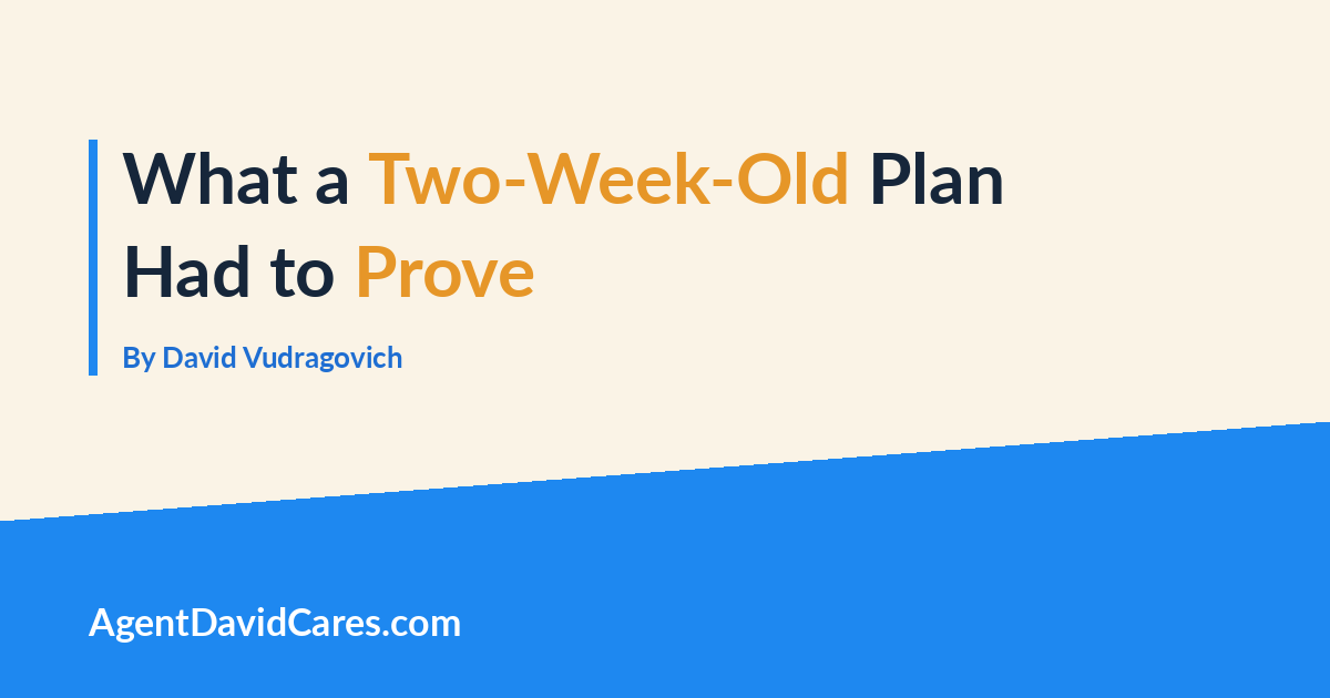 What a Two-Week-Old Plan Had to Prove, by David Vudragovich, AgentDavidCares.com